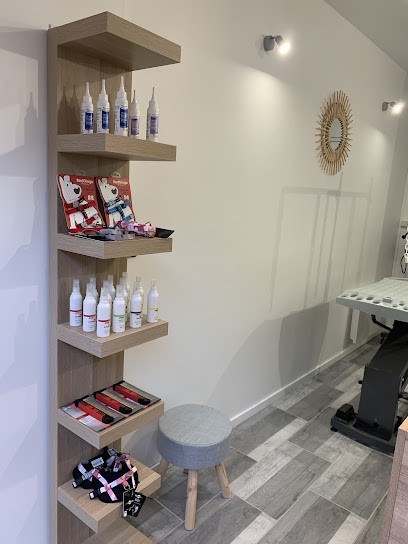 Dog's Studio, Toiletteur pour Animaux à Monteux