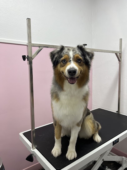 Toutou Mouss Toiletteur Pour Animaux à la Flèche