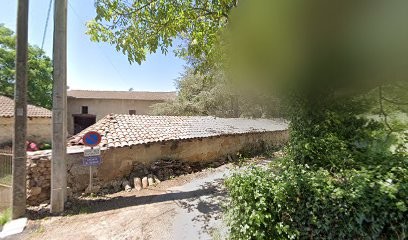 L'Instant Canin, Toiletteur pour Animaux à Saint-Quentin-Fallavier