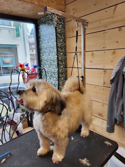 Toilettage O Natur'Elles, Toiletteur pour Animaux à L'Arbresle