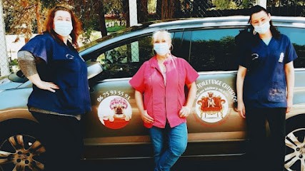 Artisan Toiletteur Chti's Dog, Toiletteur pour Animaux à Lizy-sur-Ourcq