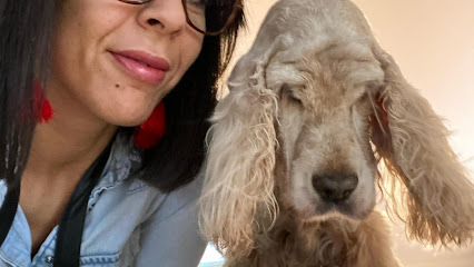 Domi' Style Canin Toiletteur Pour Animaux à Wattignies