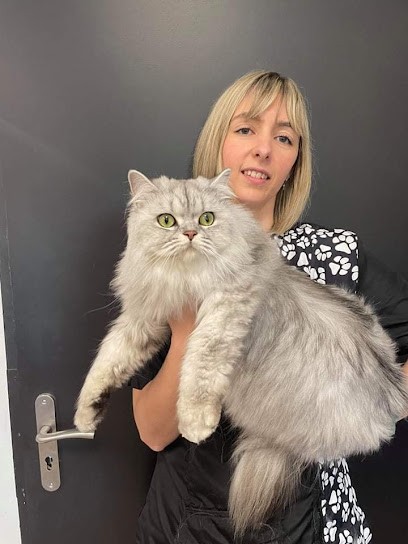 D'Coupes Au Poil, Toiletteur pour Animaux au Pont-de-Beauvoisin