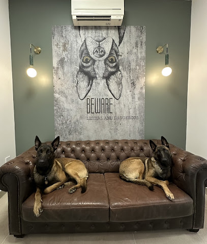 Just Dog Toiletteur Pour Animaux à Romans-sur-Isère