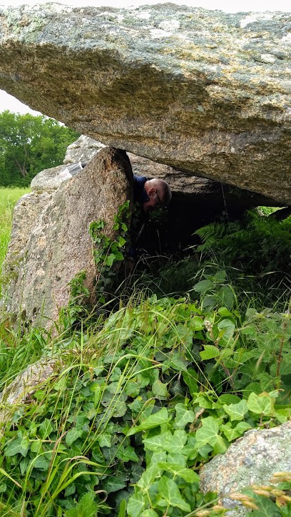 Le Pennec Henry, Toiletteur pour Animaux à Moëlan-sur-Mer