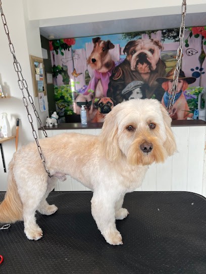 Dolly Toilettage Neau Suzy, Toiletteur pour Animaux à Talmont-Saint-Hilaire