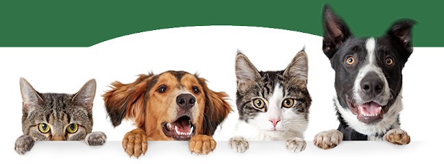 Happy Tails - Toilettage à Domicile, Toiletteur pour Animaux à Wimille