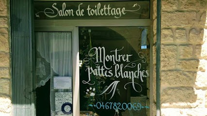 Montrer Pattes Blanches, Salon De Toilettage, Toiletteur pour Animaux au Vigan