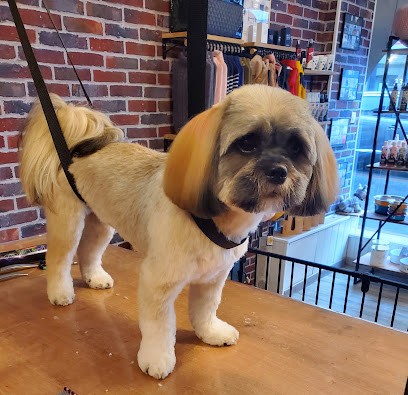 Laperdrix Alicia, Toiletteur pour Animaux à Montivilliers