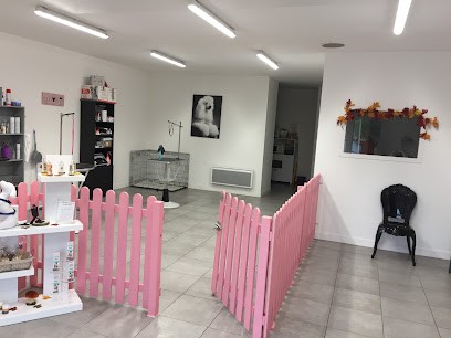 Chik Toutou, Toiletteur pour Animaux à Saint-Méen-le-Grand