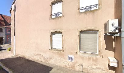 Doggy Dog Style, Toiletteur pour Animaux à Sarre-Union