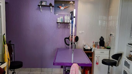 Patt' A Touff', Toiletteur pour Animaux à Obernai