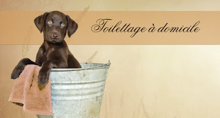 Le Chien Des Baous, Toiletteur pour Animaux à Vence