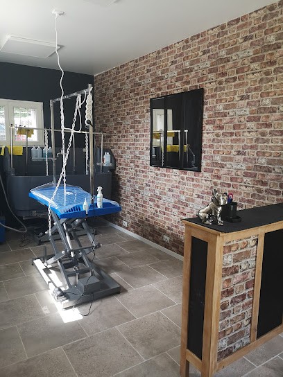 Toilettage Canin - Le Salon, Toiletteur pour Animaux à Montussan