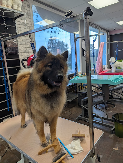 L'atelier Canin Toiletteur Pour Animaux à Châtillon-sur-Seine