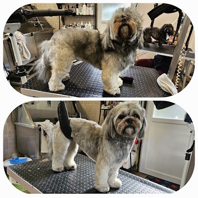 Loulou Toilettage, Toiletteur pour Animaux à Lombreuil