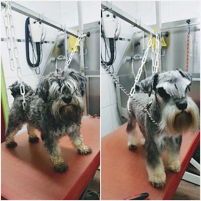 Au Chien Chic, Toiletteur pour Animaux à La Ferté-sous-Jouarre