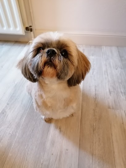 Aux Mille Et Une Pattes, Toiletteur pour Animaux à Larche