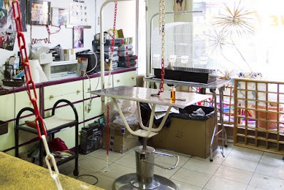 Francine Toilettage, Toiletteur pour Animaux à Roubaix