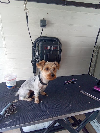 Meg&Dog Toilettages, Toiletteur pour Animaux à Bellevigny