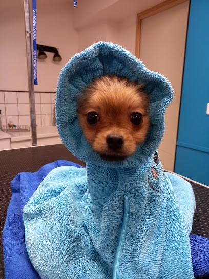 Au Pense Bêtes, Toiletteur pour Animaux à La Chapelle-Saint-Mesmin