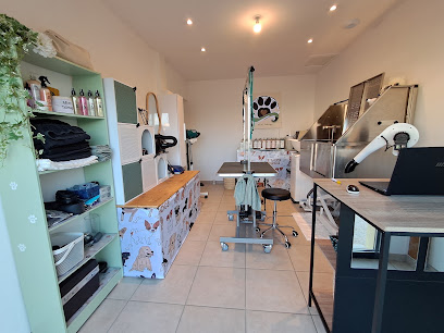 Mimi Toilettage Toiletteur Pour Animaux à l' Isle-sur-la-Sorgue