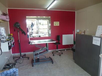 Choplabulle - Salon De Toilettage, Toiletteur pour Animaux à Redessan