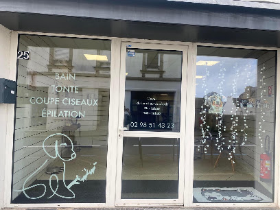 Chien'malow Toiletteur Pour Animaux à Concarneau
