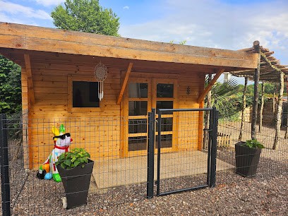 Laëtitia Toilettage, Toiletteur pour Animaux au Fay