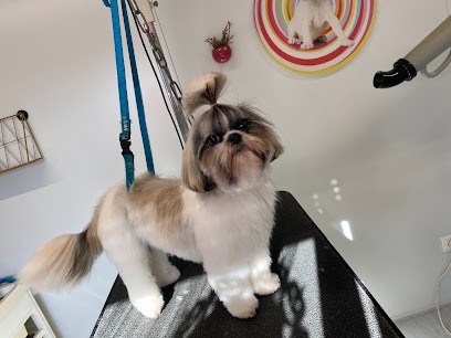 Fashion Dog, Toiletteur pour Animaux à Saint-Lupien