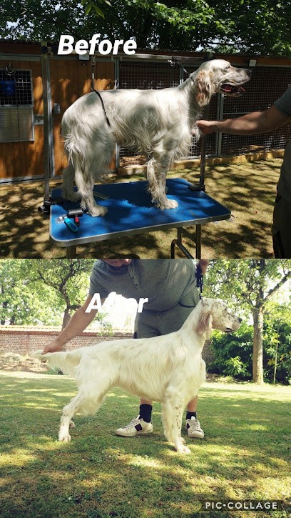 Ô Balto Chic, Toiletteur pour Animaux à Brignoles