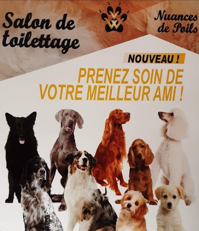 Nuances De Poils, Toiletteur pour Animaux à Rinxent