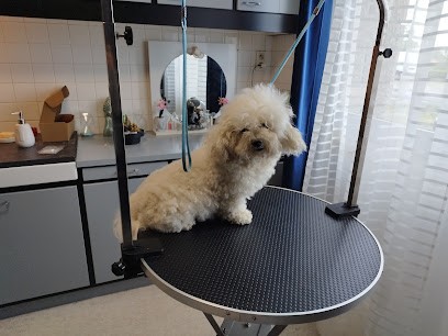 E.I Compagnie Boubou, Toiletteur pour Animaux à Arpajon-sur-Cère