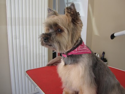 Bohème Canin, Toiletteur pour Animaux à Toul