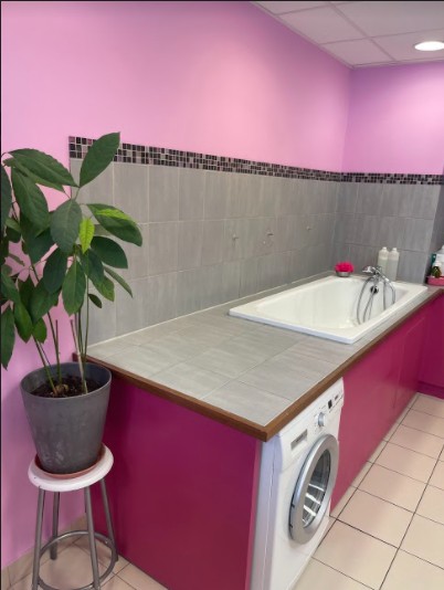 Elegance Canine, Toiletteur pour Animaux à Soisy-sous-Montmorency