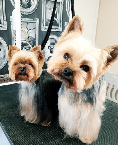 Toilettage L'Atelier D'Emilie, Toiletteur pour Animaux à Saint-Arnoult