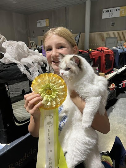 Cat And Dog Beauty, Toiletteur pour Animaux à Nesles-la-Montagne