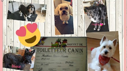 Cani'beauty Toilettage La Tour D'Aigues, Toiletteur pour Animaux à La Tour-d'Aigues