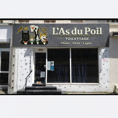 L'as Du Poil Le Havre Toiletteur Pour Animaux au Havre