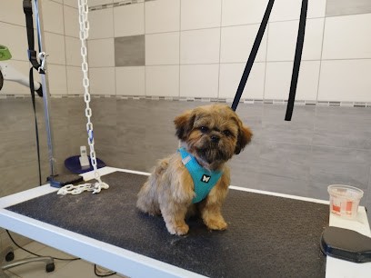 Plut o sympa, Toiletteur pour Animaux à Lorp-Sentaraille