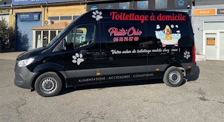 Pluto’ Chic - Toilettage à Domicile Vaucluse Et Sud Drôme, Toiletteur pour Animaux à Vaison-la-Romaine