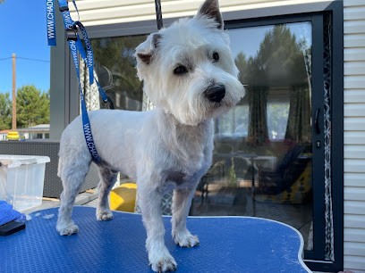 Les Services De Bené, Toiletteur pour Animaux à Soulac-sur-Mer
