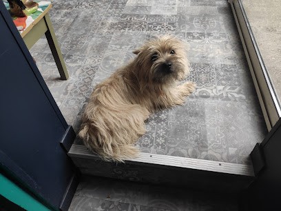 Bequet Maryline, Toiletteur pour Animaux à Pavilly