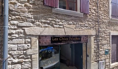 Les chics peluches, Toiletteur pour Animaux à Bagnols-sur-Cèze