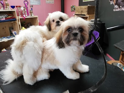 Magnoux Beatrice, Toiletteur pour Animaux à Bressuire