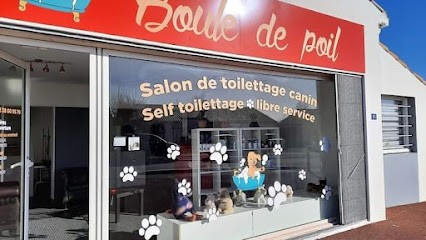 Boule De Poil Salon De Toilettage Canin, Toiletteur pour Animaux à Sainte-Pazanne