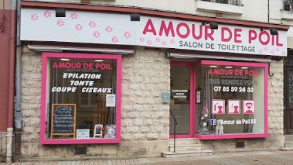 AMOUR DE POIL Salon de toilettage Centre Ville REVIGNY-SUR-ORNAIN S/O, Toiletteur pour Animaux à Revigny-sur-Ornain