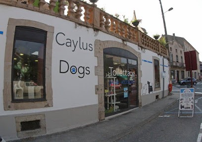 Caylus Dogs Toilettage, Toiletteur pour Animaux à Saint-Affrique