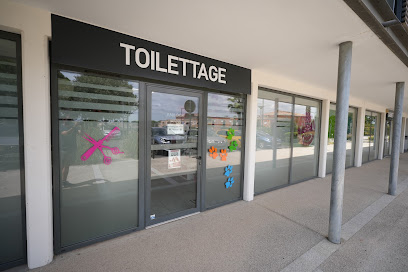 Anilook - Salon De Toilettage Béziers Toiletteur Pour Animaux à Béziers