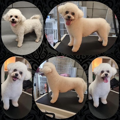 Toilettage T'chou Dog's, Toiletteur pour Animaux à Thionville